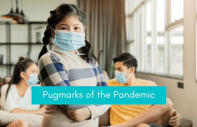 Pugmarks of Pandemic