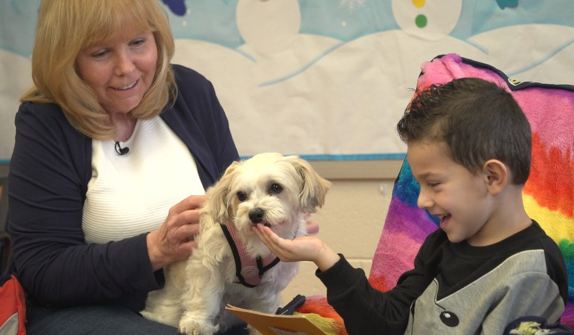 therapy dogs today main